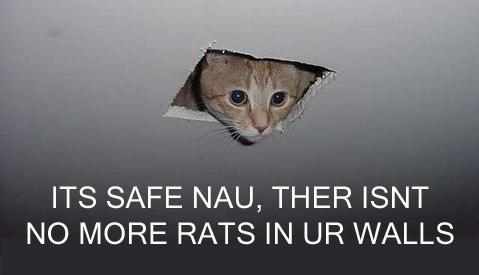ITS SAFE NAU, THERE ISNT NO MORE RATS IN UR WALLS
