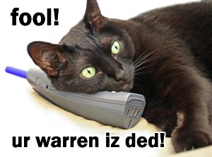 FOOL! UR WARREN IZ DED!