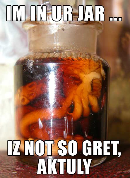 IM IN UR JAR… IZ NOT SO GRET, AKTULY