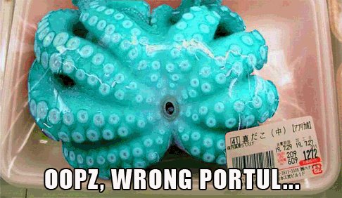OOPZ, WRONG PORTUL…