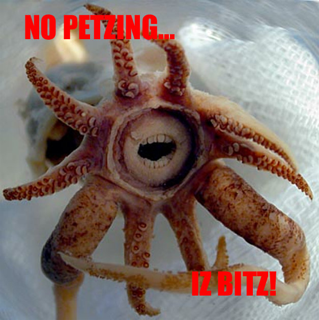 NO PETZING... IZ BITZ!