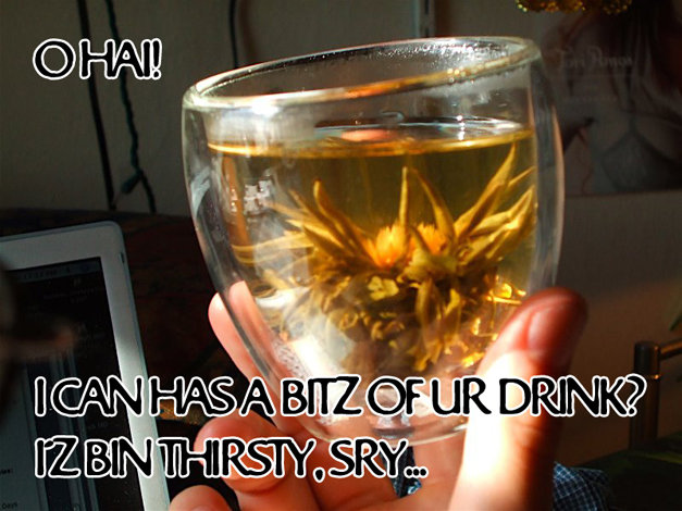 O HAI! I CAN HAS A BITZ OF UR DRINK?